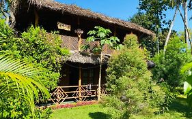 Sigiri Lion Eco Palace