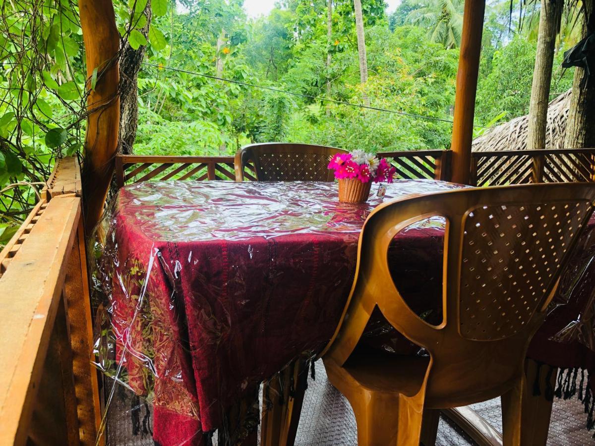 Sigiri Lion Eco Palace Sigiriya Buitenkant foto