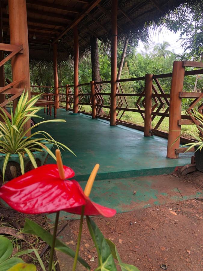 Sigiri Lion Eco Palace Sigiriya Buitenkant foto
