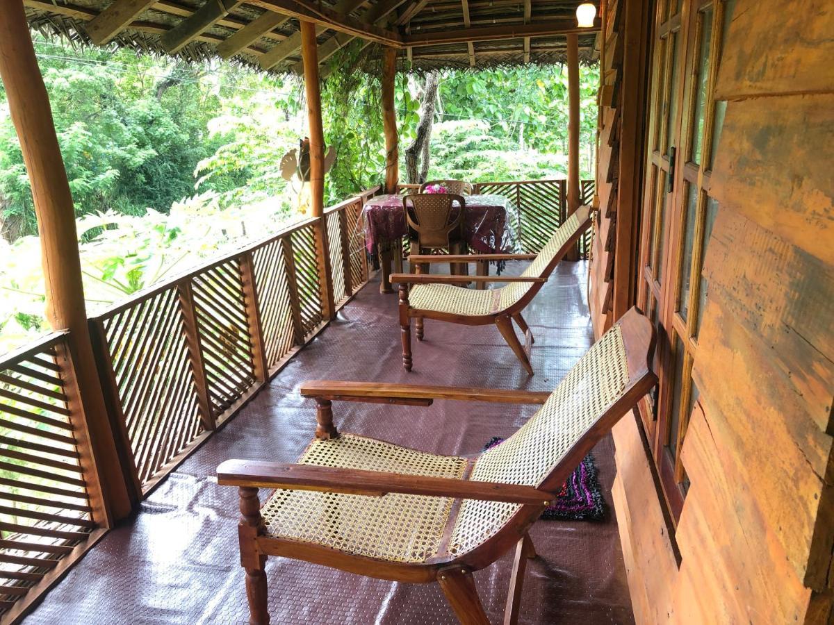 Sigiri Lion Eco Palace Sigiriya Buitenkant foto