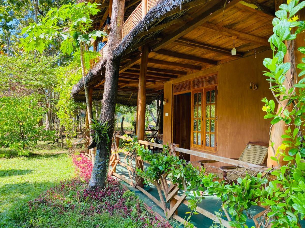 Sigiri Lion Eco Palace Sigiriya Buitenkant foto