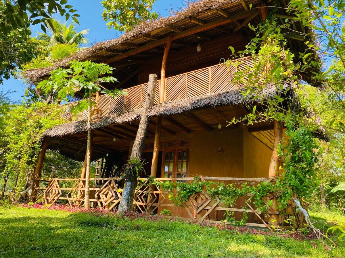 Sigiri Lion Eco Palace Sigiriya Buitenkant foto