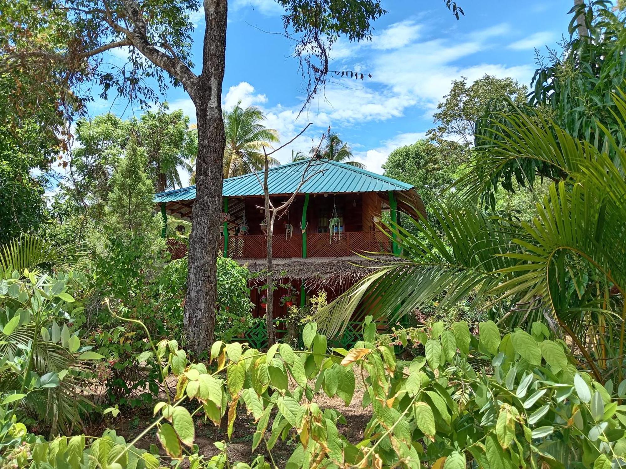 Sigiri Lion Eco Palace Sigiriya Buitenkant foto
