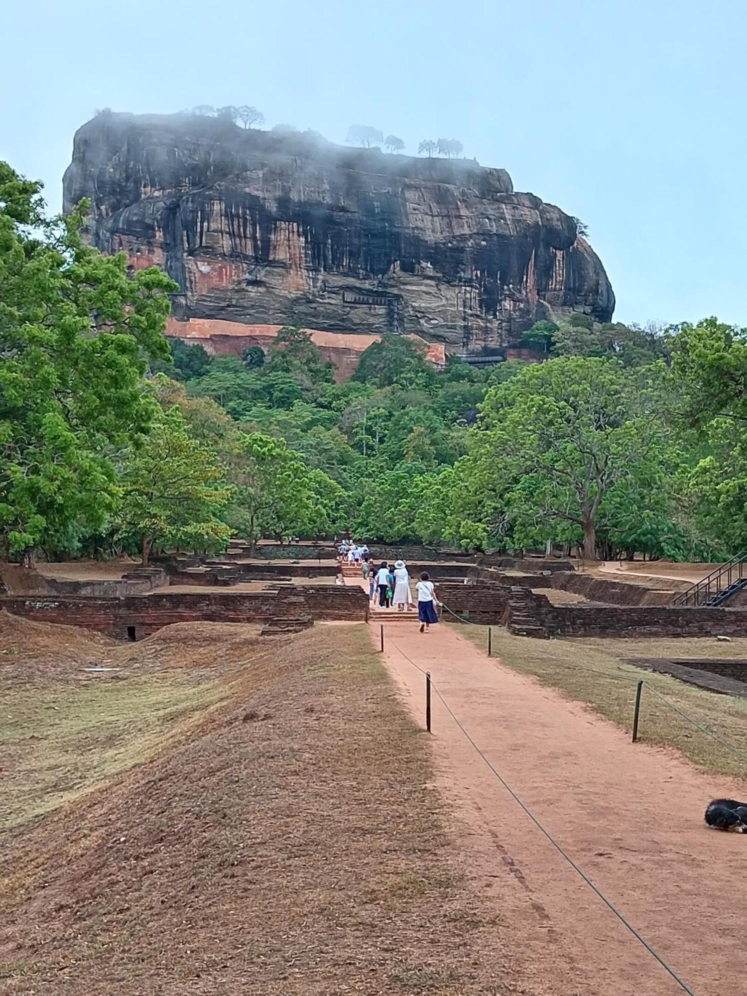 Sigiri Lion Eco Palace Sigiriya Buitenkant foto