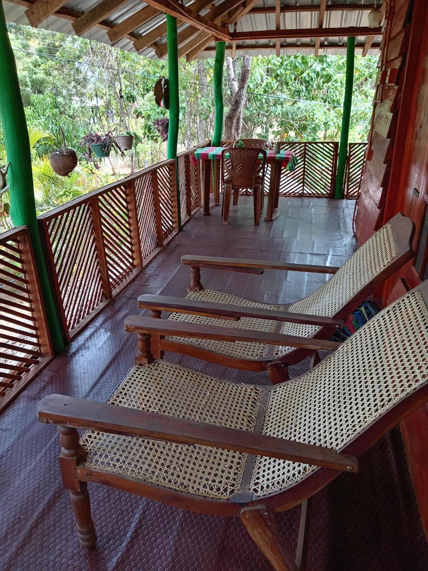 Sigiri Lion Eco Palace Sigiriya Buitenkant foto